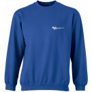 color:royal